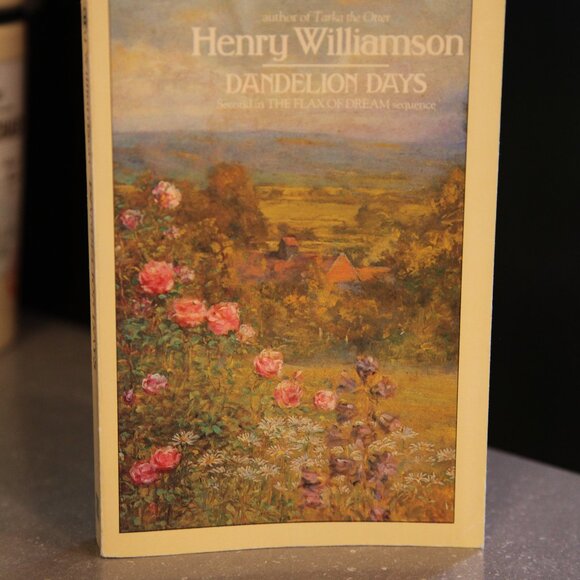 Dandelion Days - Picture 2 of 3